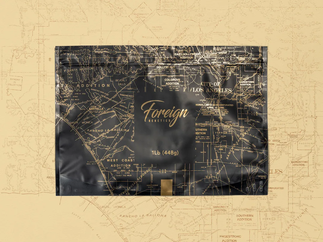 Foreign pound bag on the map